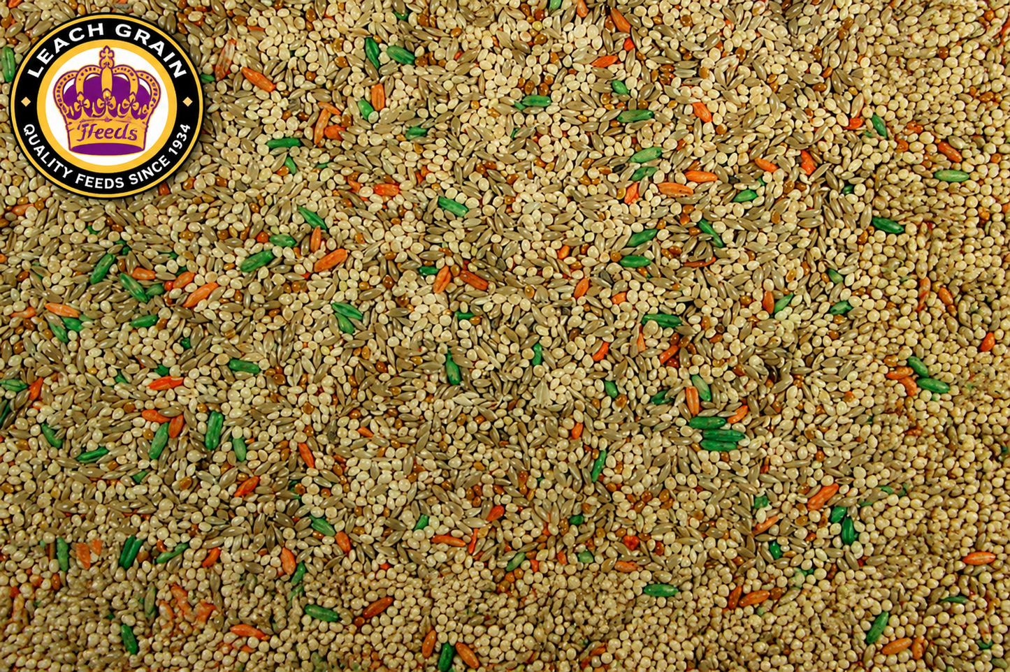 Leach Grain Parakeet Plus Bird Seed | Premium Daily Feed | 50 lb