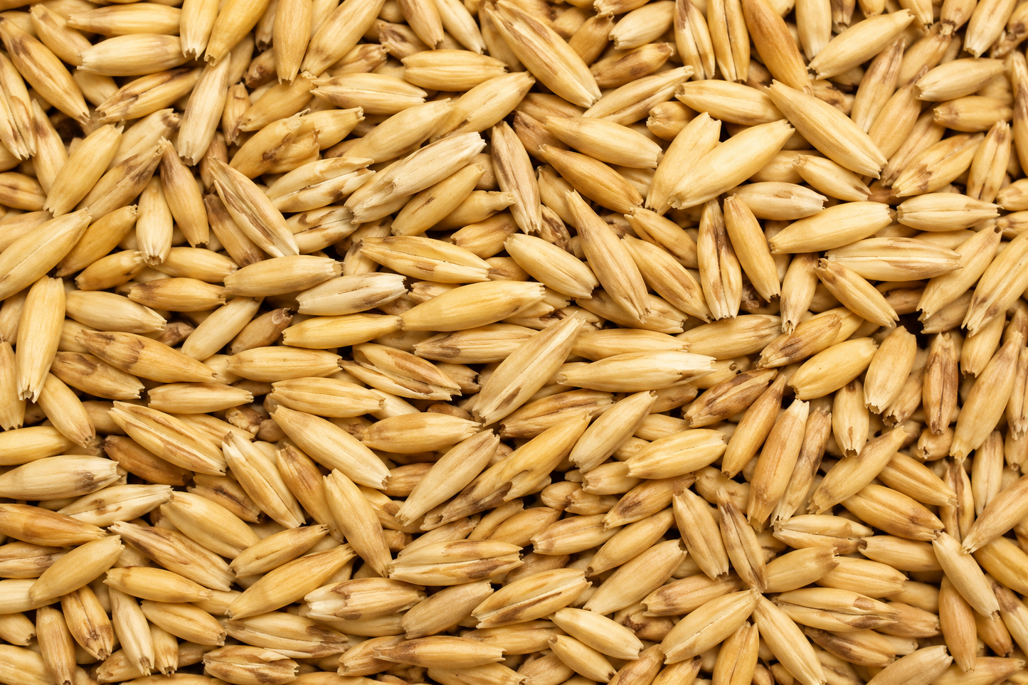 Whole Oats 75 lb