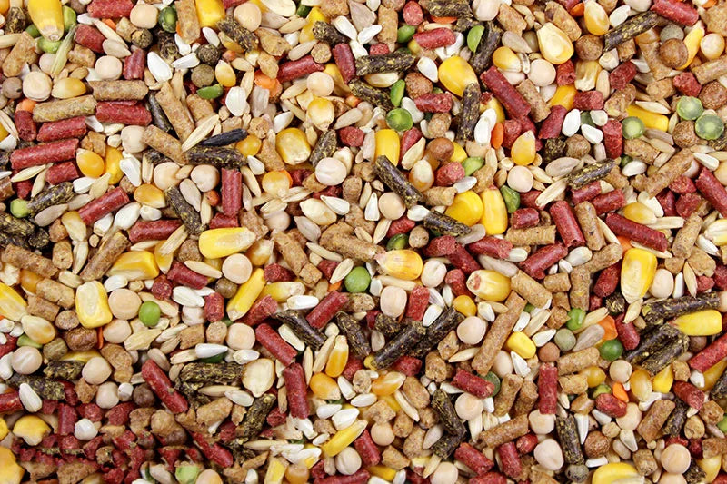 High Octane Whole or Cracked Corn