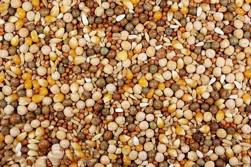 Royal Race 16.00% Leach