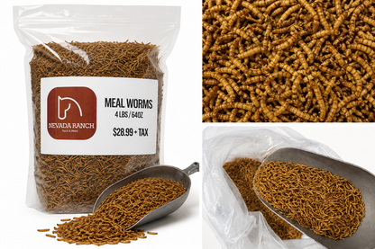 Nevada Ranch Premium Dried Mealworms – 4 lb
