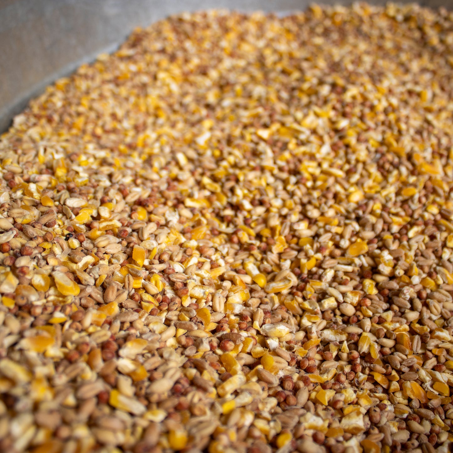 IFA Scratch Grain for Poultry - 50 lb