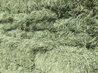 Bermuda Hay Bale – 3 String (100 lb)