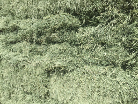 Image Product