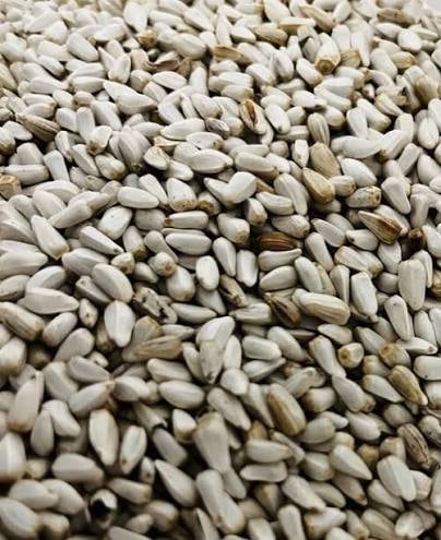 SAFFLOWER 50LB