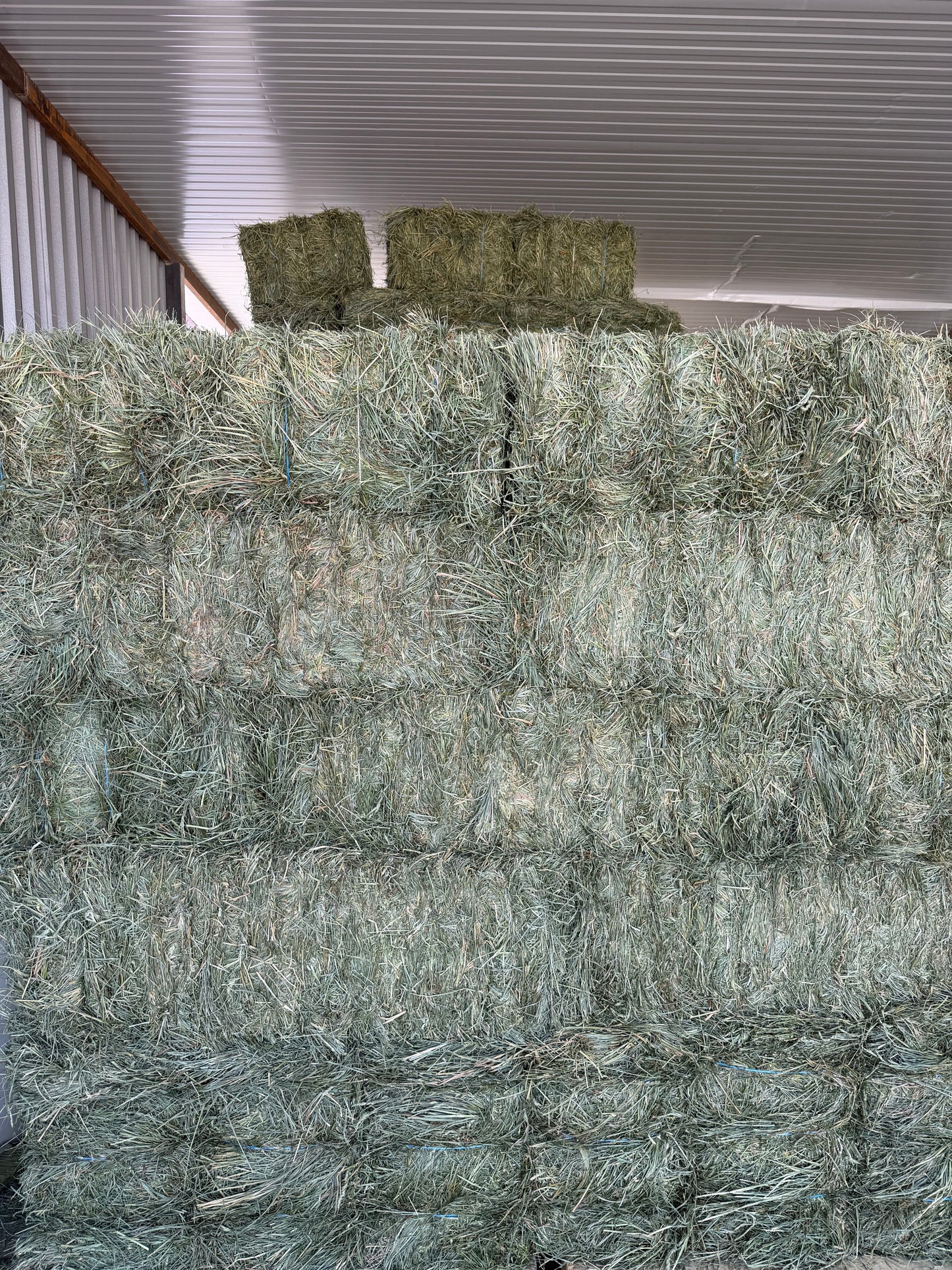 Orchard Mix Hay Bale – 80% Orchard Grass / 20% Alfalfa (3 String)