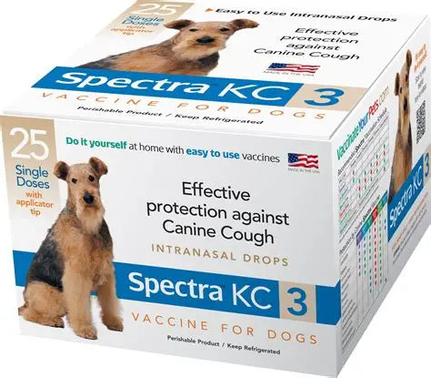 Canine Spectra KC3 (1 DOSE)