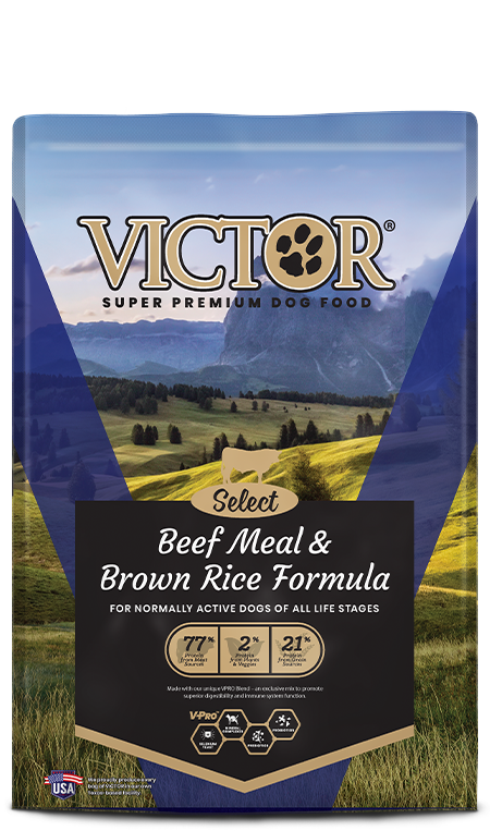 Victor Beef And Brown Rice