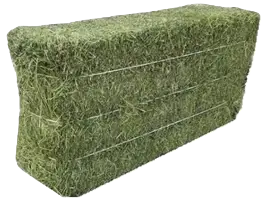 Image Product