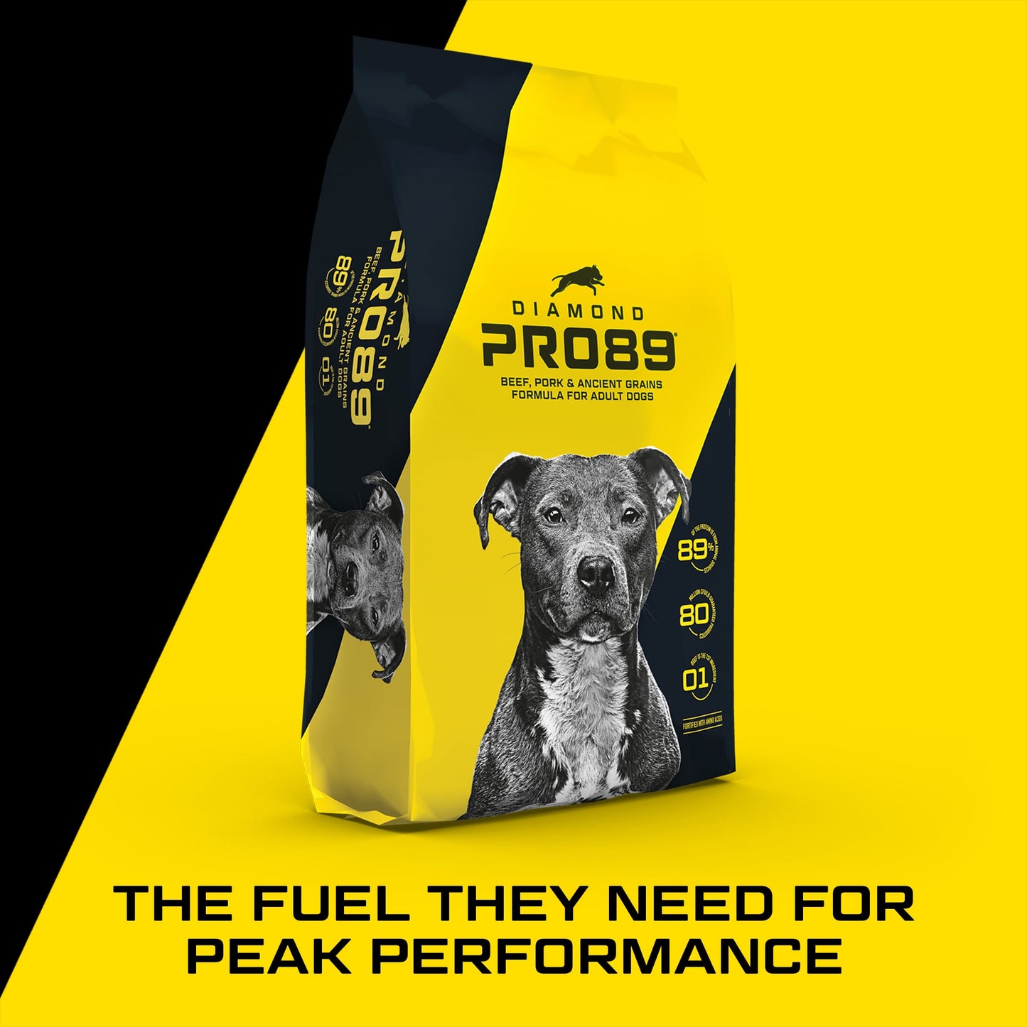 Diamond Pro89 Beef,Pork,& Ancient Grains Formula Dog